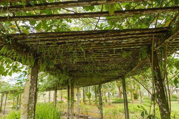 Optimisez votre aménagement extérieur avec une pergola bioclimatique : nos conseils pratiques