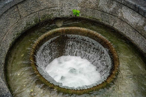 Pompe à eau immergée pour puits, citerne ou forage : le guide essentiel
